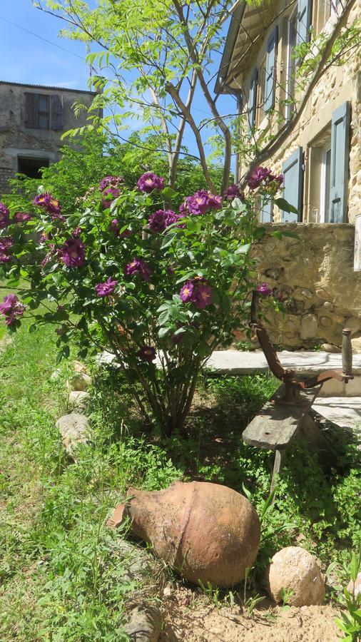 A La Belle Histoire Bed & Breakfast Chateauneuf-sur-Isere Exterior photo